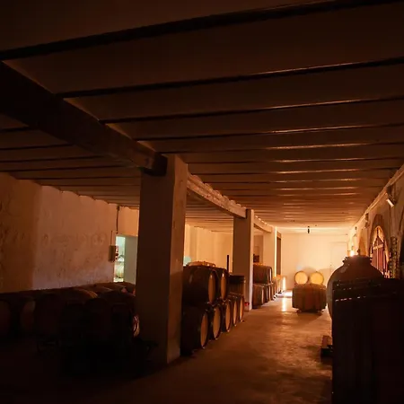 Hotel Bodega Vera De Estenas