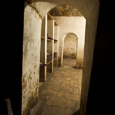 Hotel Bodega Vera De Estenas *