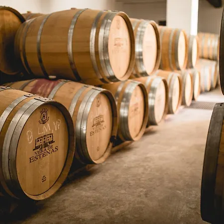 Bodega Vera De Estenas *