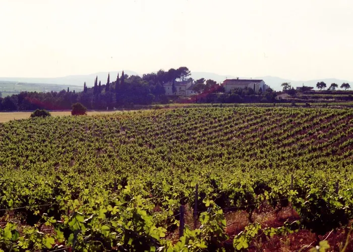 Bodega Vera De Estenas