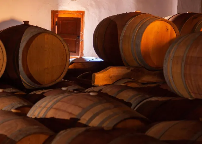 Bodega Vera De Estenas Utiel