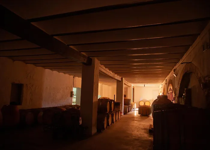 Hotel Bodega Vera De Estenas