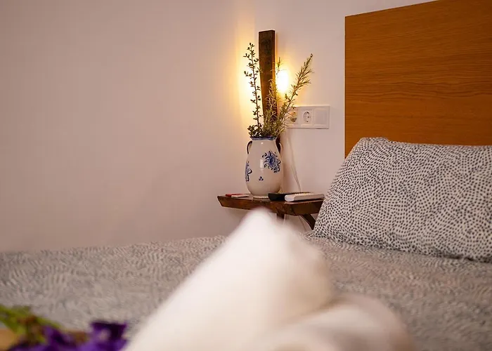 Hotel Bodega Vera De Estenas *