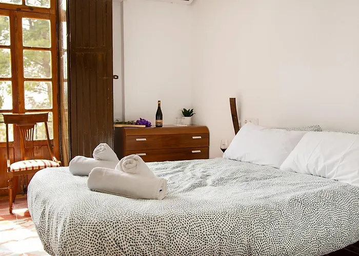 Hotel Bodega Vera De Estenas *