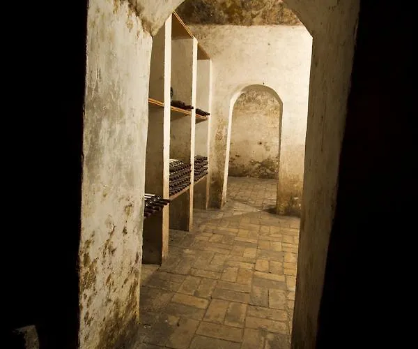 Hotel Bodega Vera De Estenas *