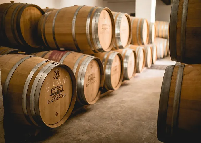 Bodega Vera De Estenas *